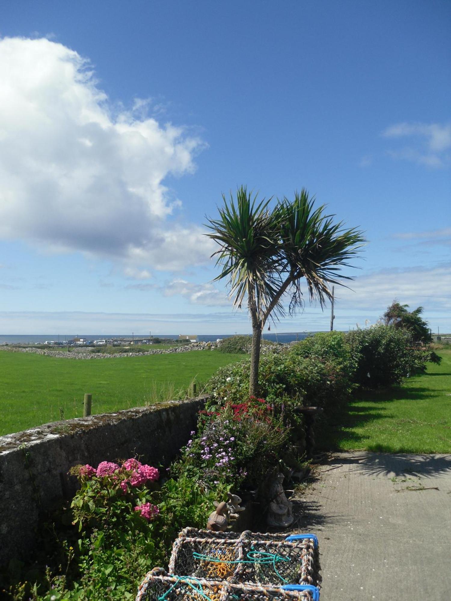 Atlantic View House Ξενοδοχείο Doolin Εξωτερικό φωτογραφία